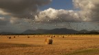 IMG 2552 IMG 2552