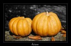 Autunno Autunno