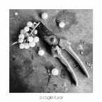 "jamm a coglie l'uva!" � l'espressione dialettale (ciociaro) che indica la vendemmia :)

Ho voluto immortalare, in una cronistoria, le azioni fondamentali che si fanno durante questo evento, con un tocco particolare. Campi stretti sulle azioni chiave :)

� la prima volta che posto in una sezione che sia diversa da "Primi Scatti", ogni commento e critica � sempre ben accetta.

Buona serata :)