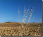 valdorcia valdorcia
