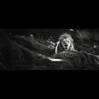 king king