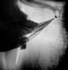 Il peso della leggerezza