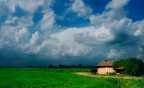 I pachidermi del cielo I pachidermi del cielo
