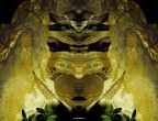 Pareidolie@2011 Pareidolie@2011