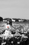 il mio fiore ...