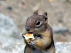 Buon Pranzo Buon Pranzo