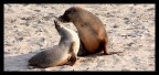 ....mon amour.... ....mon amour....