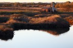 delta del po delta del po