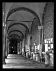oggi sant'ambrogio...