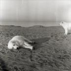 ... ...