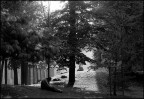 MIIMG6020