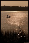 Il Pescatore Il Pescatore