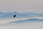 In volo..... In volo.....