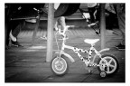 Destriero urbano Destriero urbano
