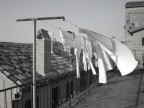 profumo di vento profumo di vento