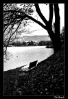 The Bench The Bench