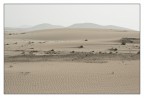 silenzio silenzio