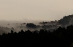 Risveglio nella nebbia Risveglio nella nebbia