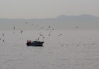 Pescatori Pescatori