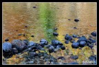 Colori autunnali riflessi nel torrente Colori autunnali riflessi nel torrente