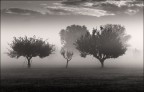 DSC5668 DSC5668