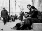 a milano: colletta a milano: colletta