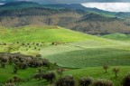 Pomeriggio nella valle dell'imera Pomeriggio nella valle dell'imera