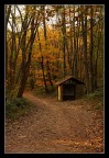 Autunno sul monte Serra - 1 Autunno sul monte Serra - 1