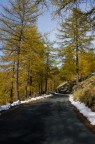 Colori d'autunno Colori d'autunno