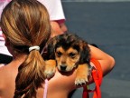 I cuccioli I cuccioli