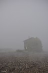 Nebbia Nebbia