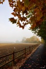 Autunno Autunno