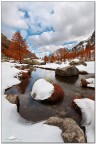 Prelude to winter Prelude to winter