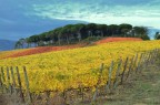 Colori autunnali Colori autunnali