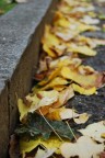 Autunno Autunno