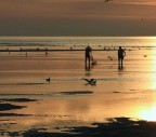 la pesca la pesca