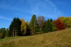 Sfumature d'autunno 2 Sfumature d'autunno 2