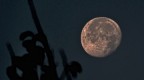 Moon-1 Moon-1