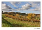 Paesaggio Paesaggio