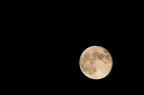 Full Moon Full Moon