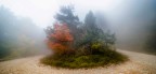 Isola nella nebbia Isola nella nebbia