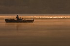 Pescatore sul lago di Alserio Pescatore sul lago di Alserio