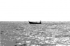 La barca... La barca...
