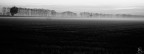 Impressioni.... Impressioni....