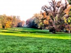 il giardino della villa reale il giardino della villa reale