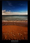 Orme Orme