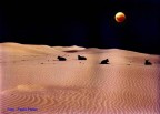 Dune Dune