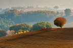 Il lavoro al mattino Il lavoro al mattino
