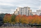 Vivere e morire in banlieue Vivere e morire in banlieue