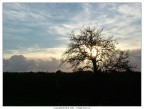 tramonto tramonto